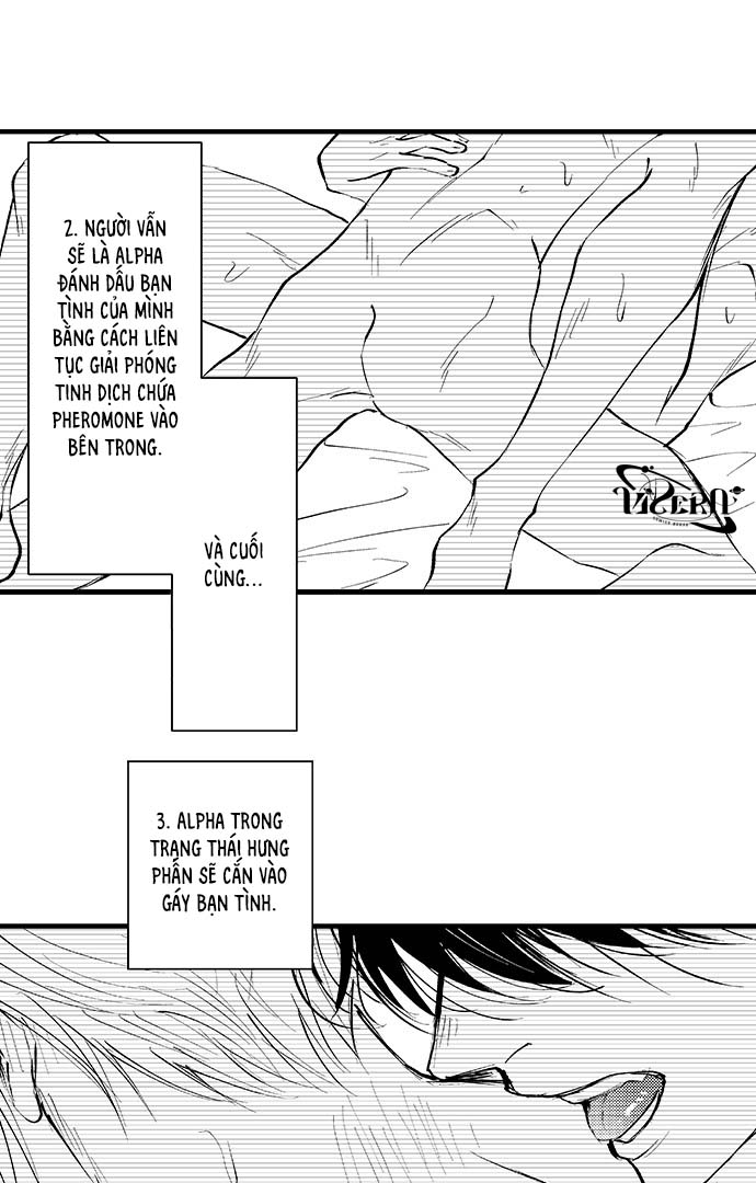 Bí Mật Thầm Kín Của Ngài Quý Tộc α - Chap 2