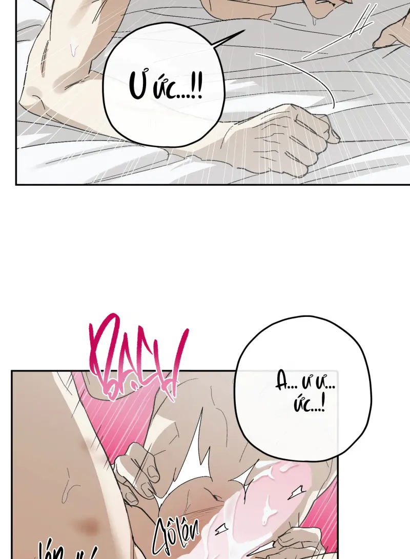 TƯƠNG XỨNG - Chap 15