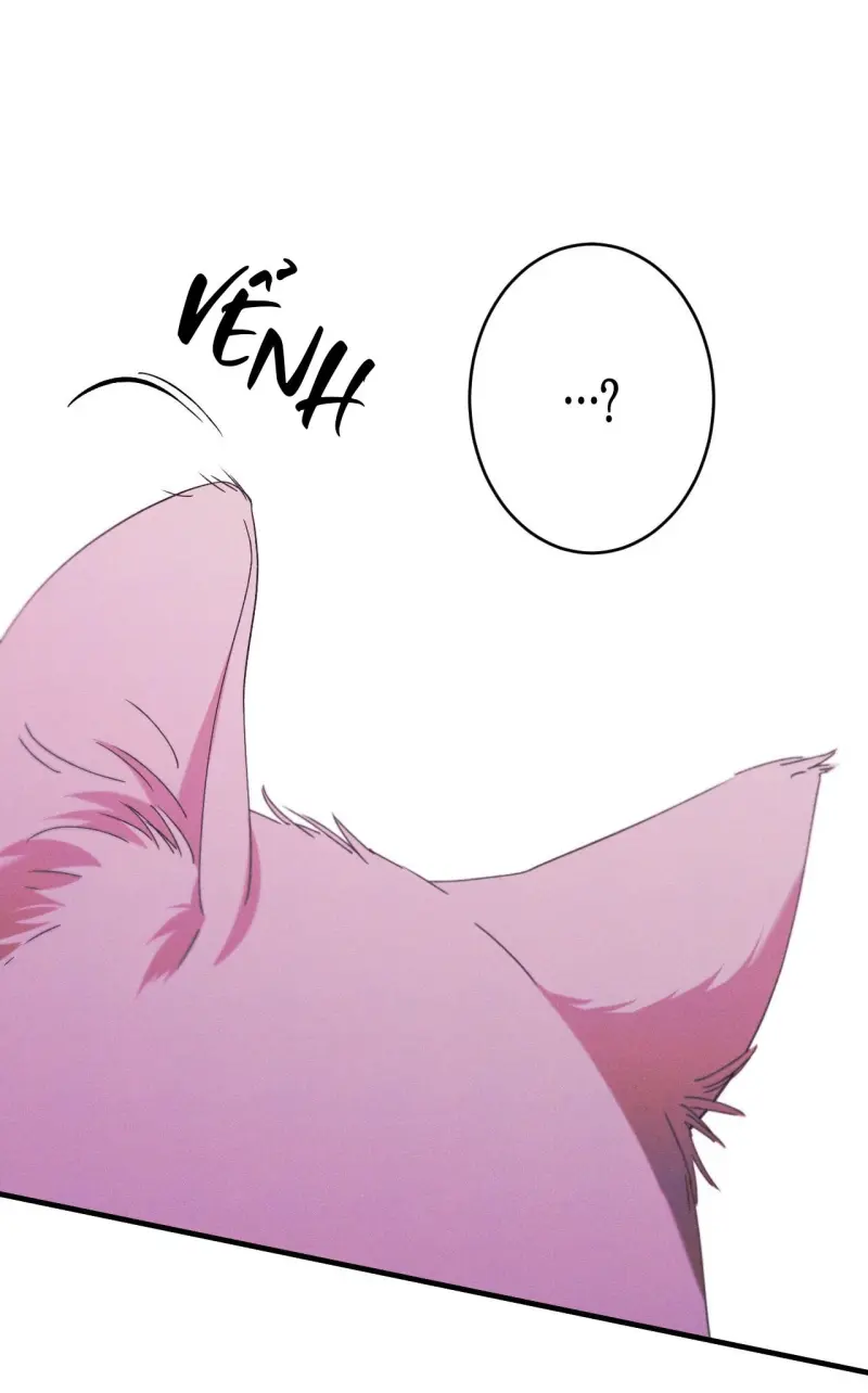 RẮN NUỐT LỰU - Chap 27