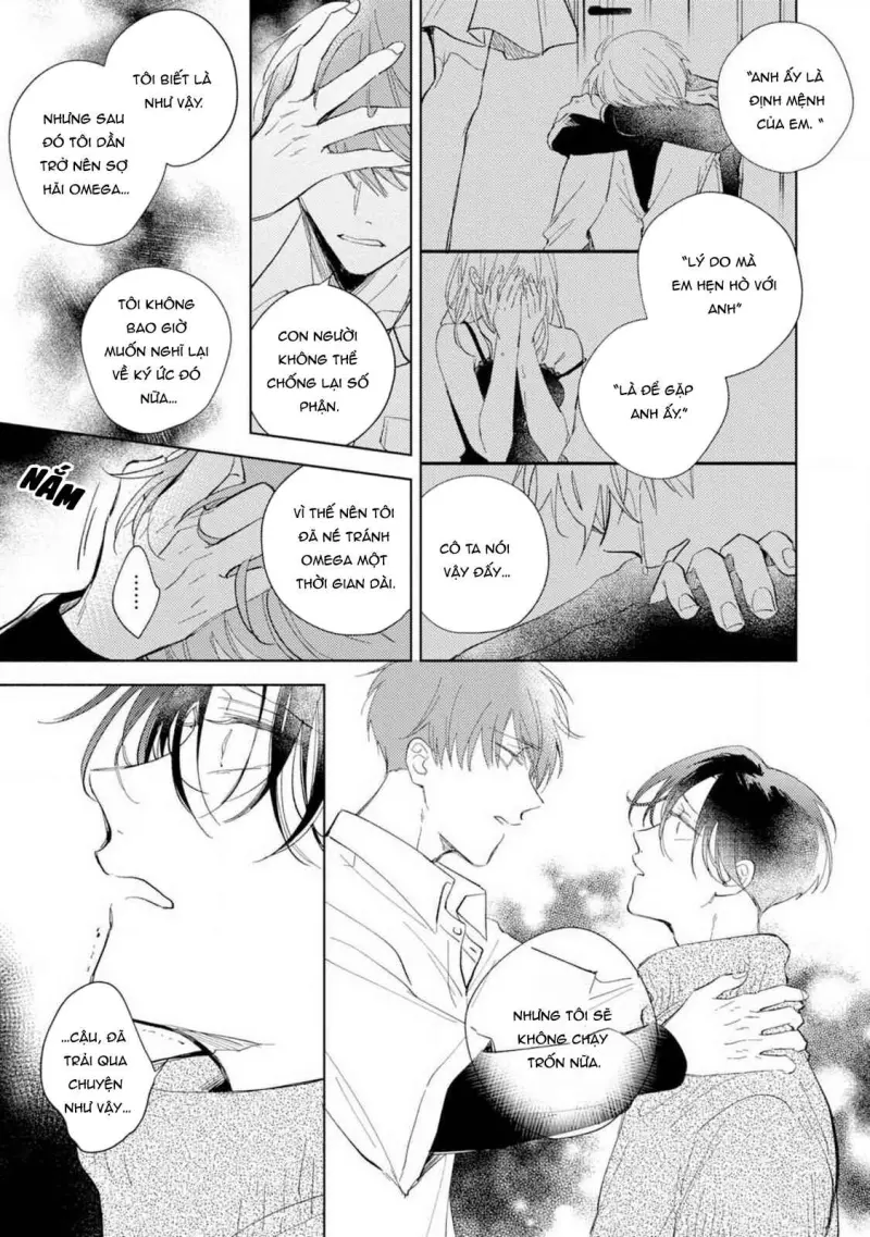 Bạn Đời Của Tôi Là Một Omega Thuần - Chap 4