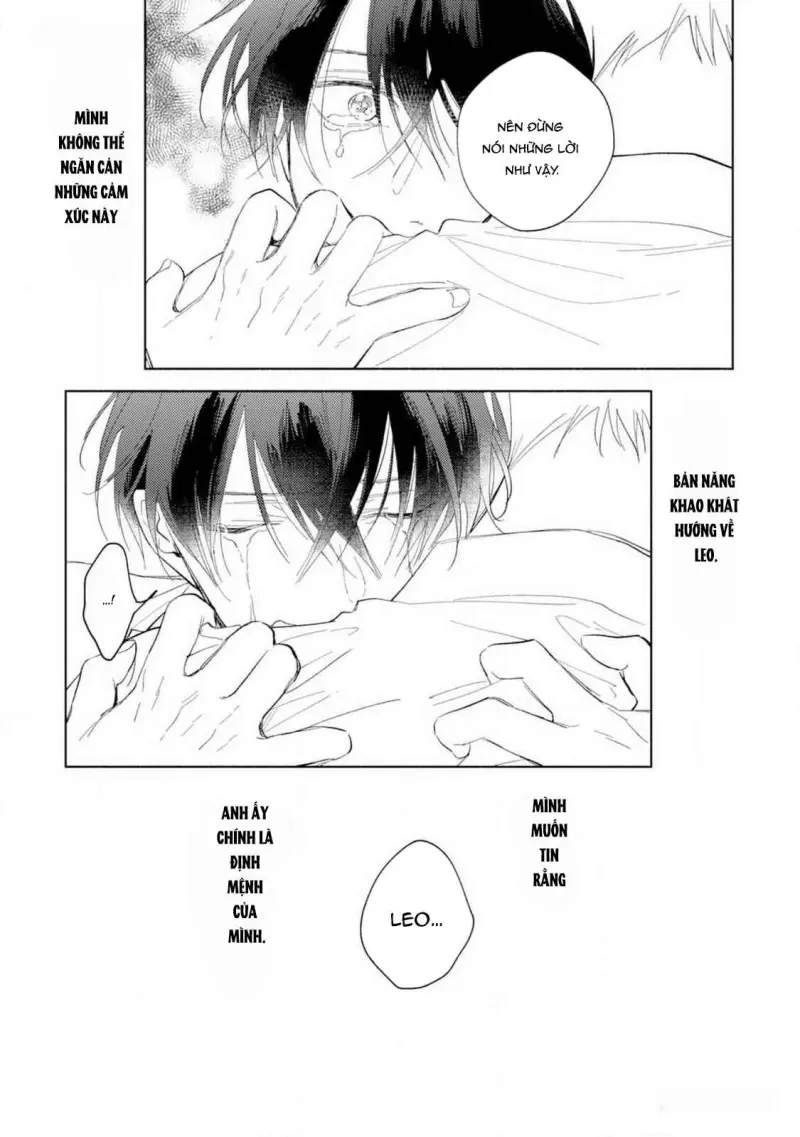 Bạn Đời Của Tôi Là Một Omega Thuần - Chap 4