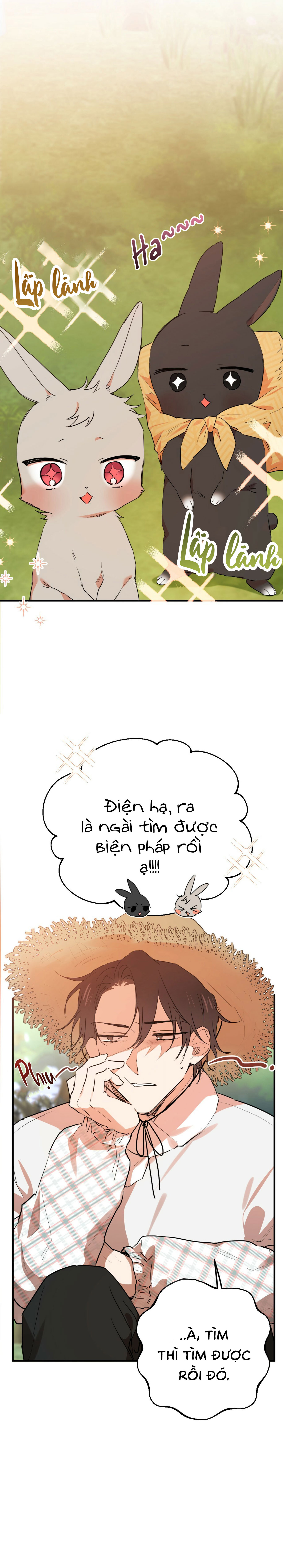 Những Chú Thỏ Của Habibi - Chap 10