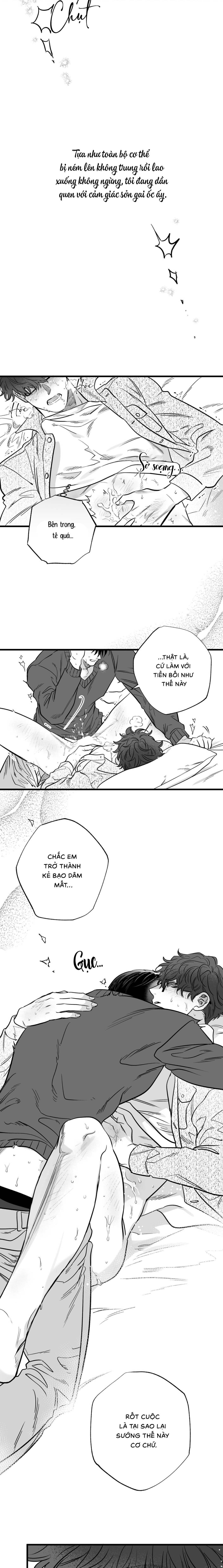 Số Trường Hợp - Chap 6
