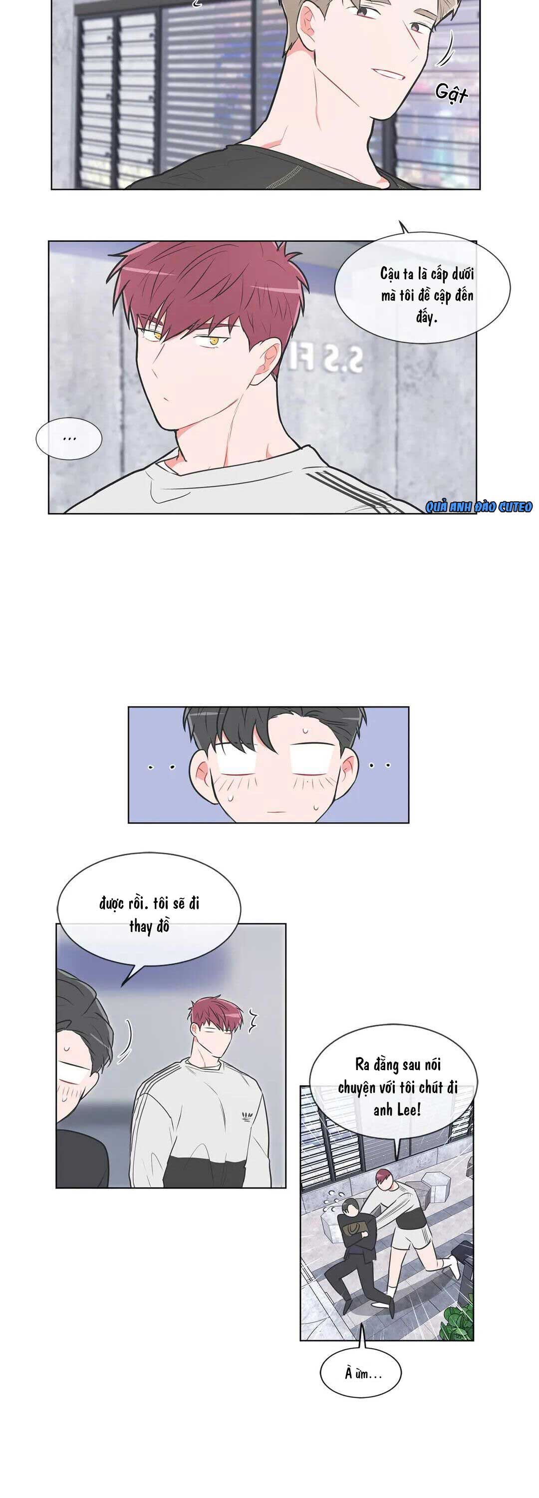 Huấn Luyện Viên Tôi Ghét Cậu - Chap 29