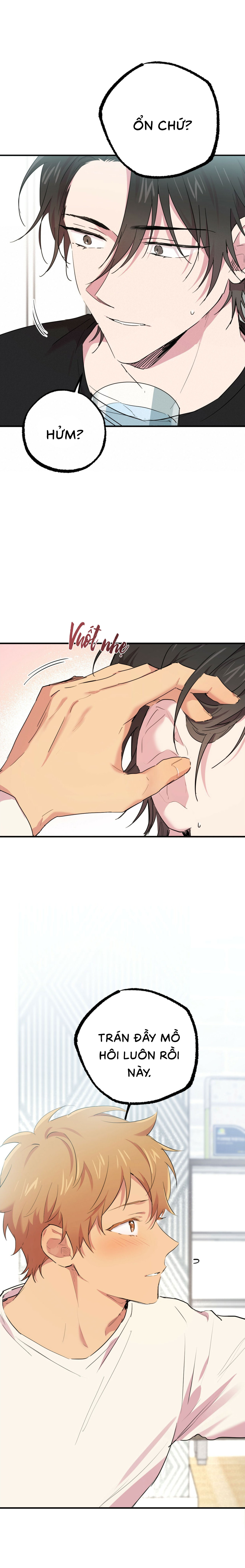 Những Chú Thỏ Của Habibi - Chap 13