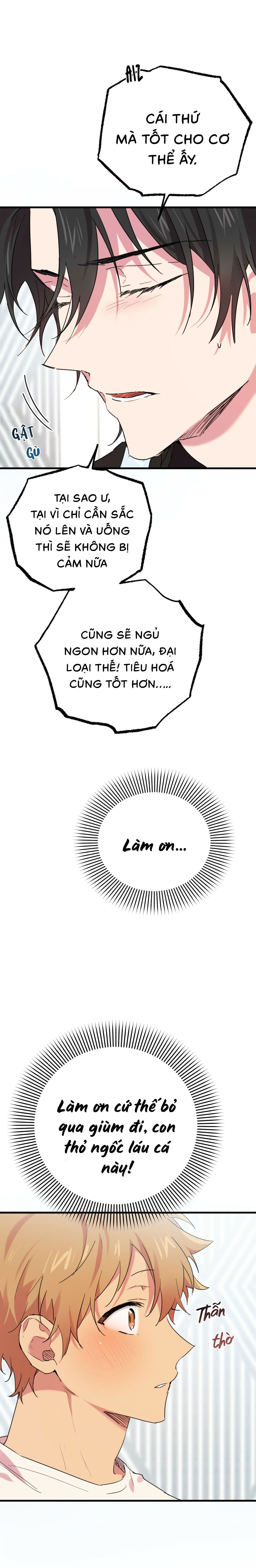 Những Chú Thỏ Của Habibi - Chap 12