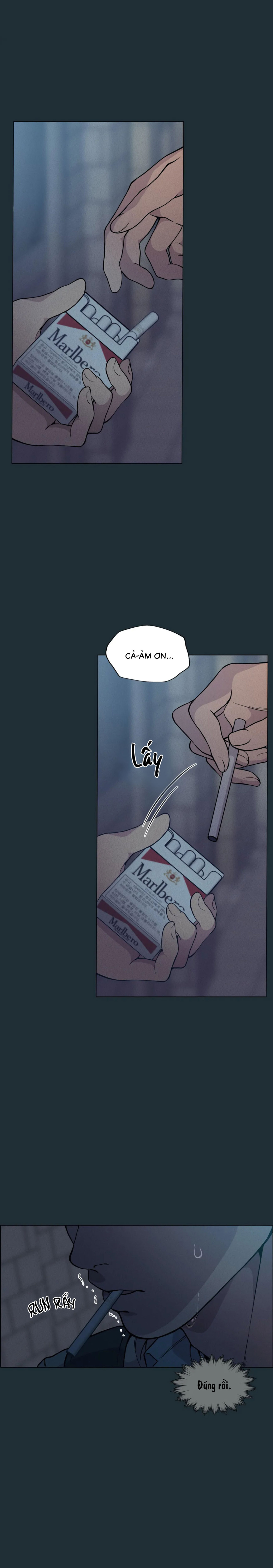 Lạc Giữa Những Tầng Mây - Chap 27 - Yeon Skylar (3)