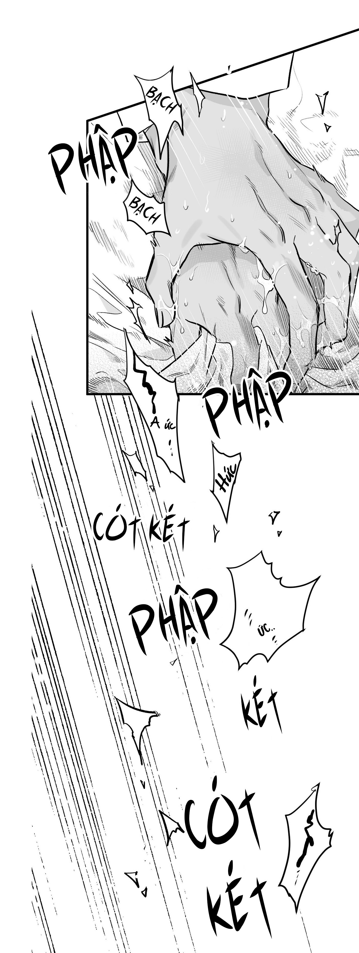 Số Trường Hợp - Chap 3