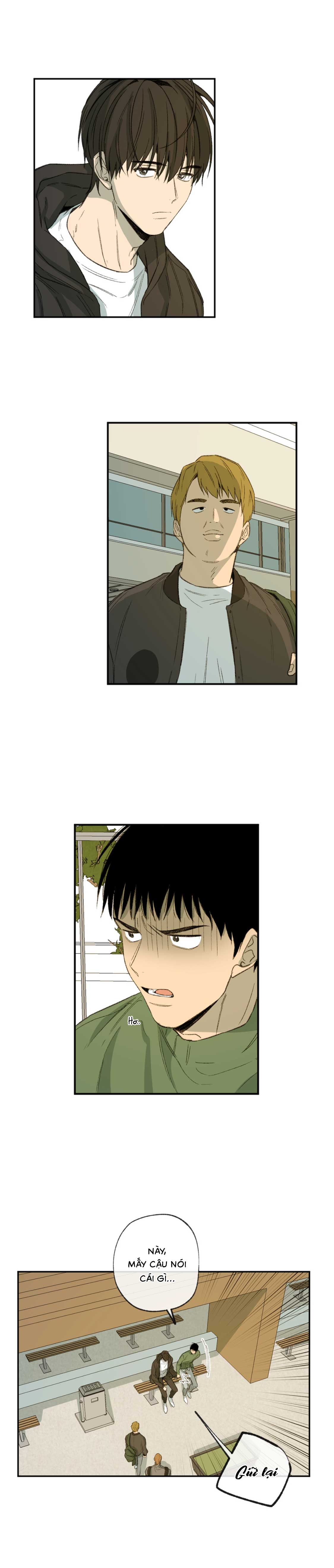 Hình Thức Cảm Thông - Chap 55