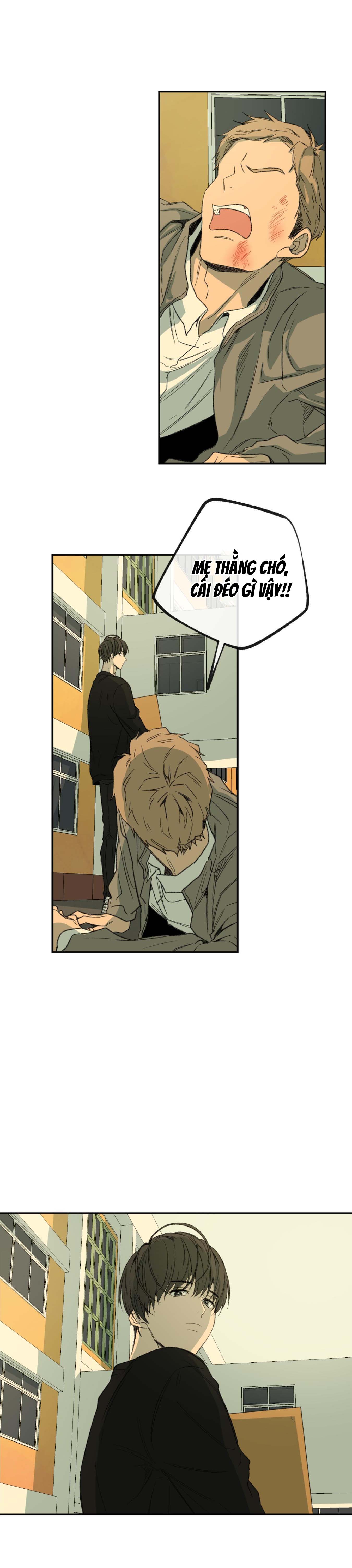 Hình Thức Cảm Thông - Chap 52