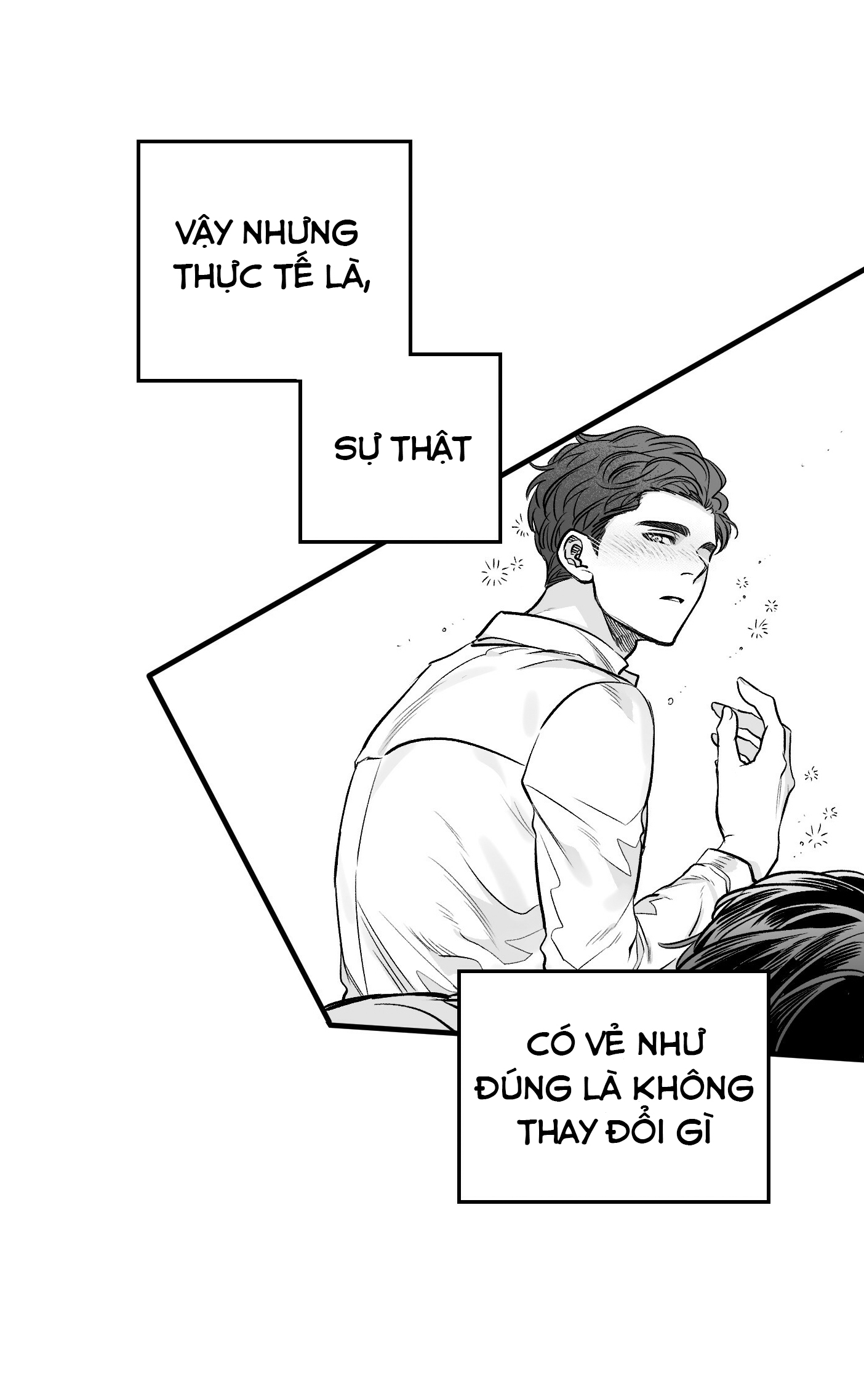 Số Trường Hợp - Chap 2