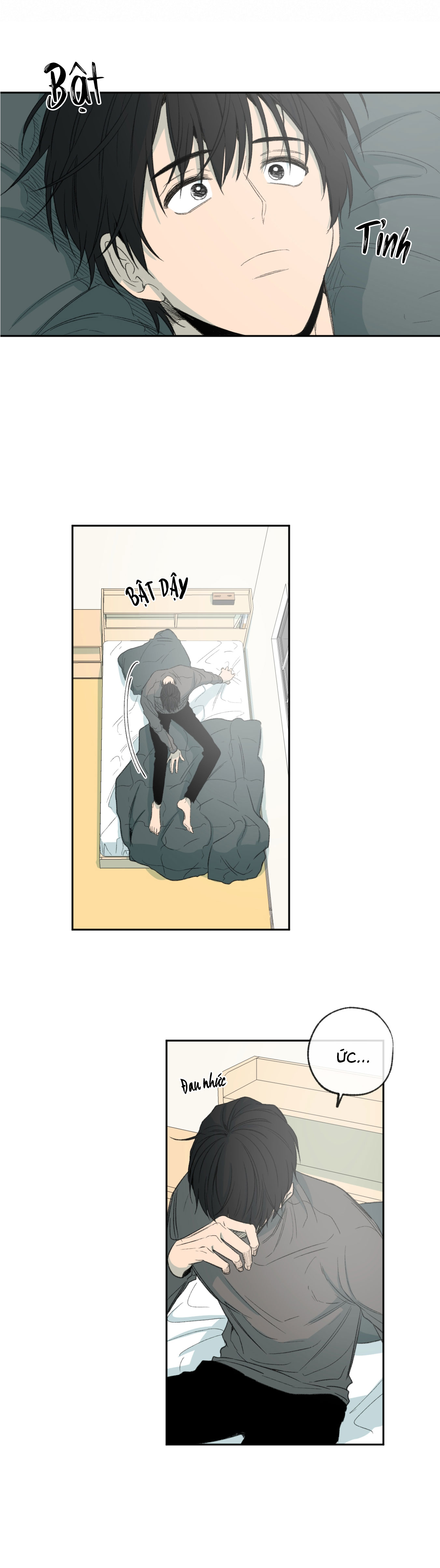 Hình Thức Cảm Thông - Chap 65