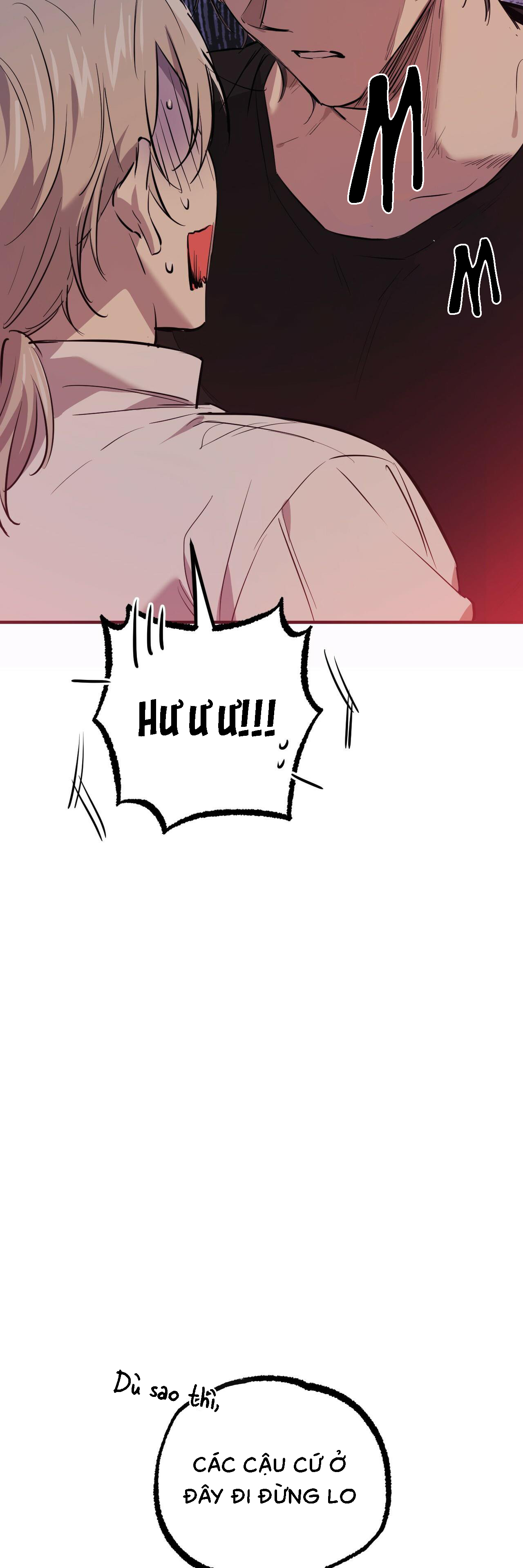 Những Chú Thỏ Của Habibi - Chap 51