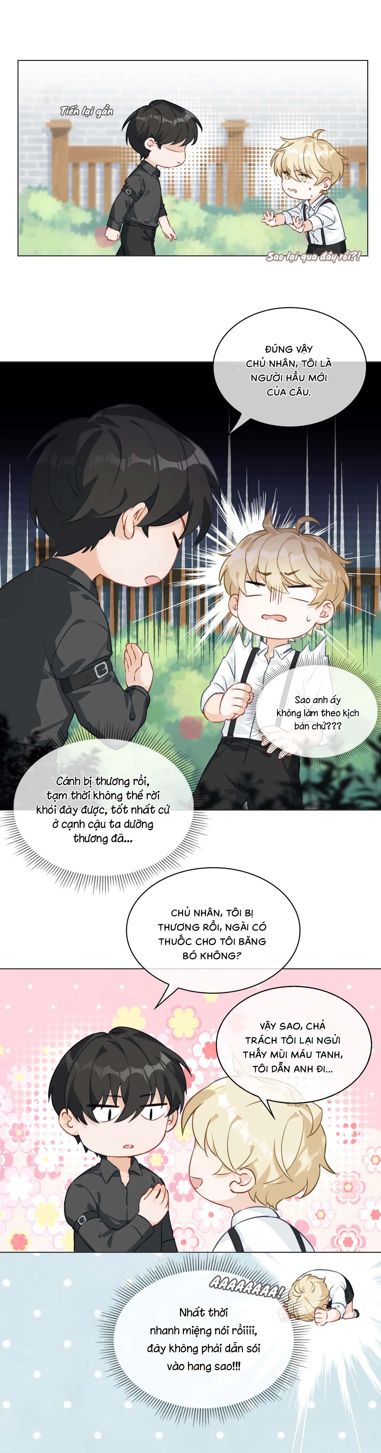 Quy Luật Tĩnh Lặng - Chap NGOẠI TRUYỆN 1