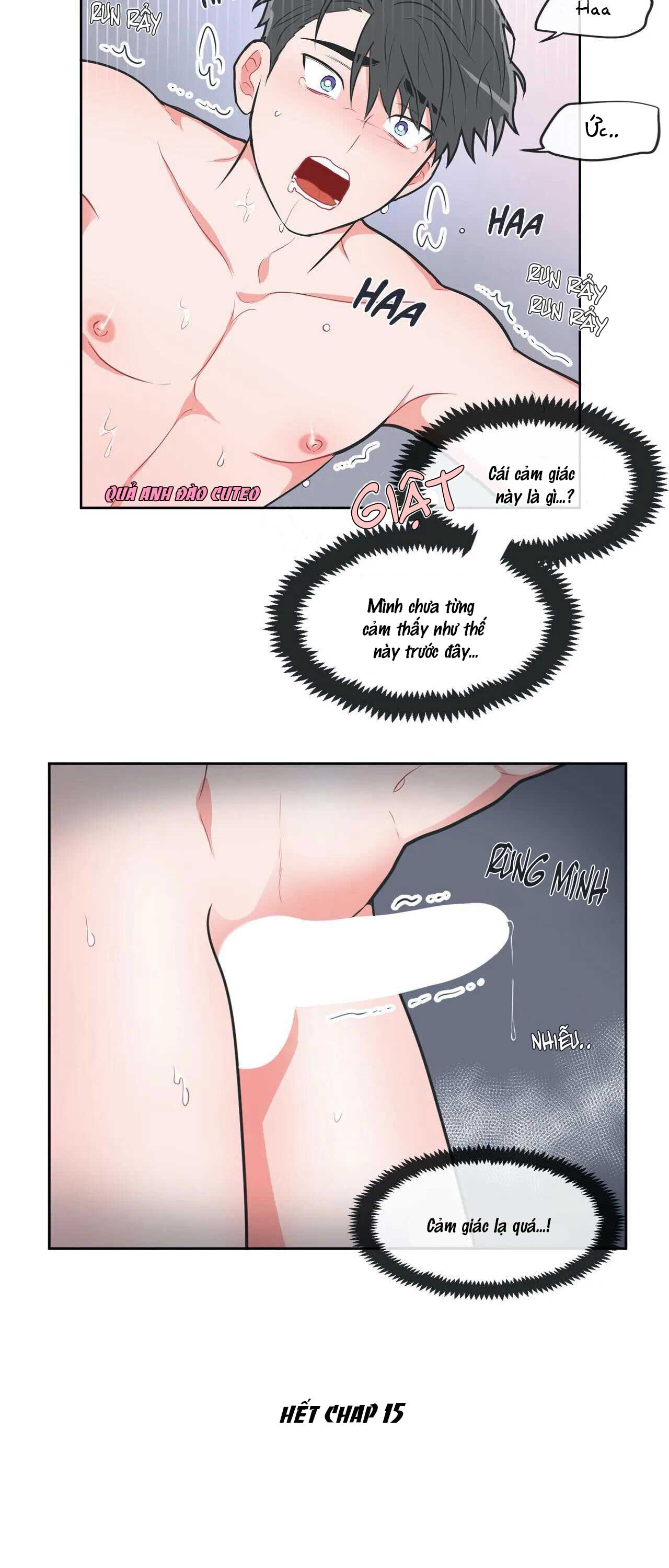 Huấn Luyện Viên Tôi Ghét Cậu - Chap 15