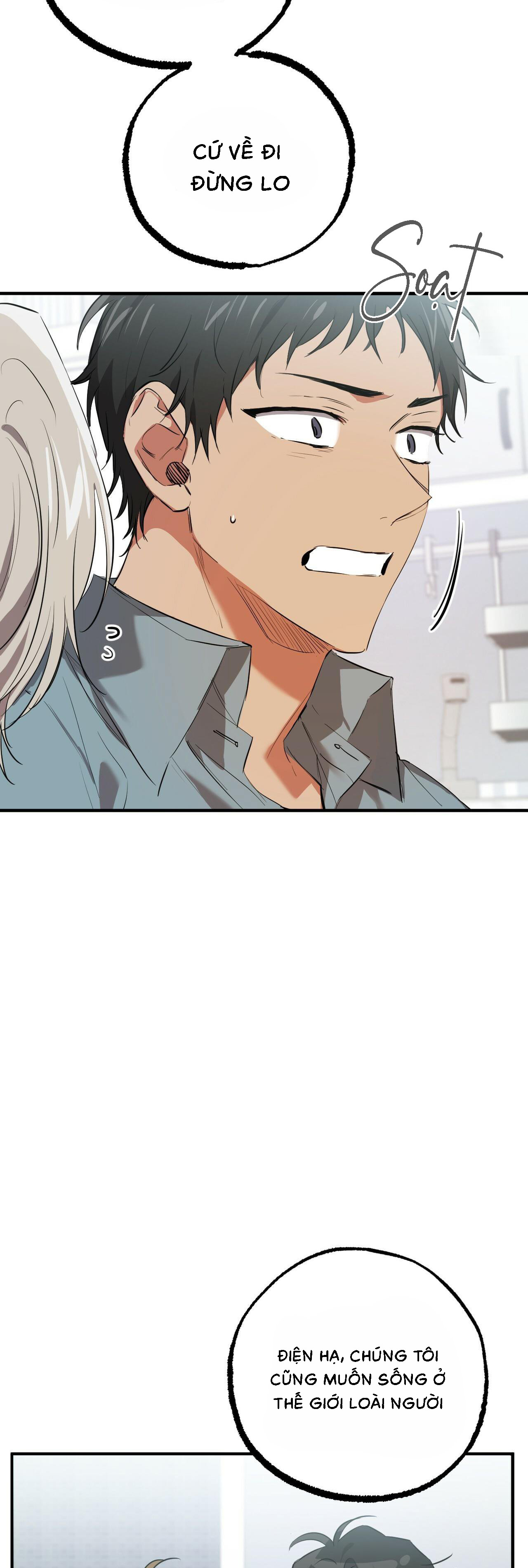 Những Chú Thỏ Của Habibi - Chap 51