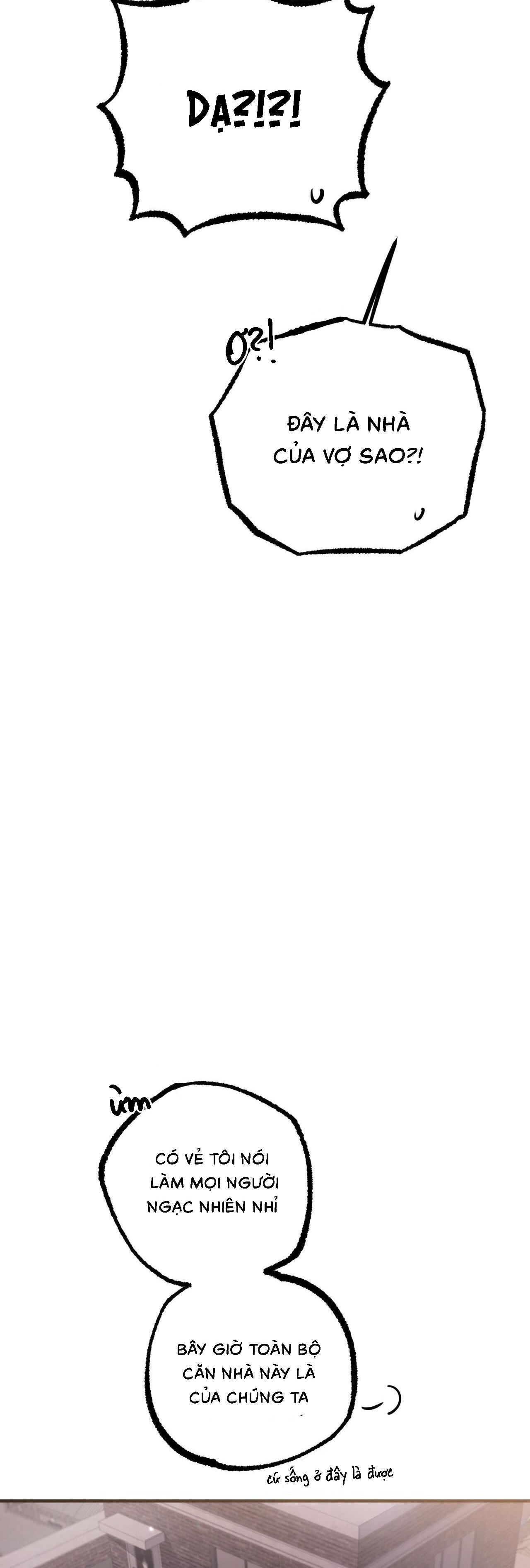 Những Chú Thỏ Của Habibi - Chap 51