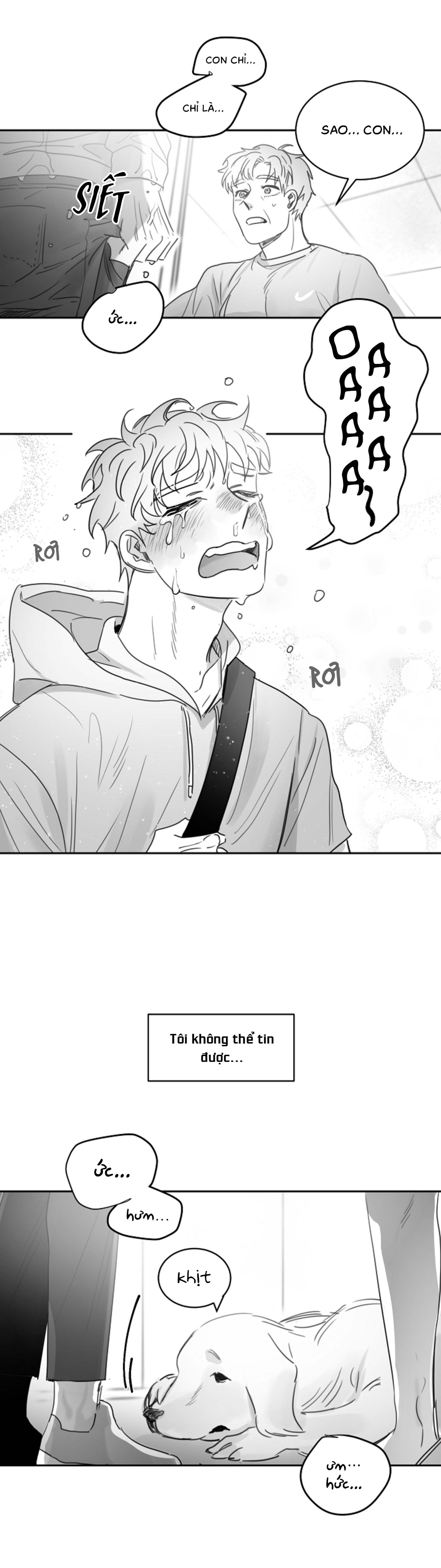 Tình Không Như Mơ - Chap 23