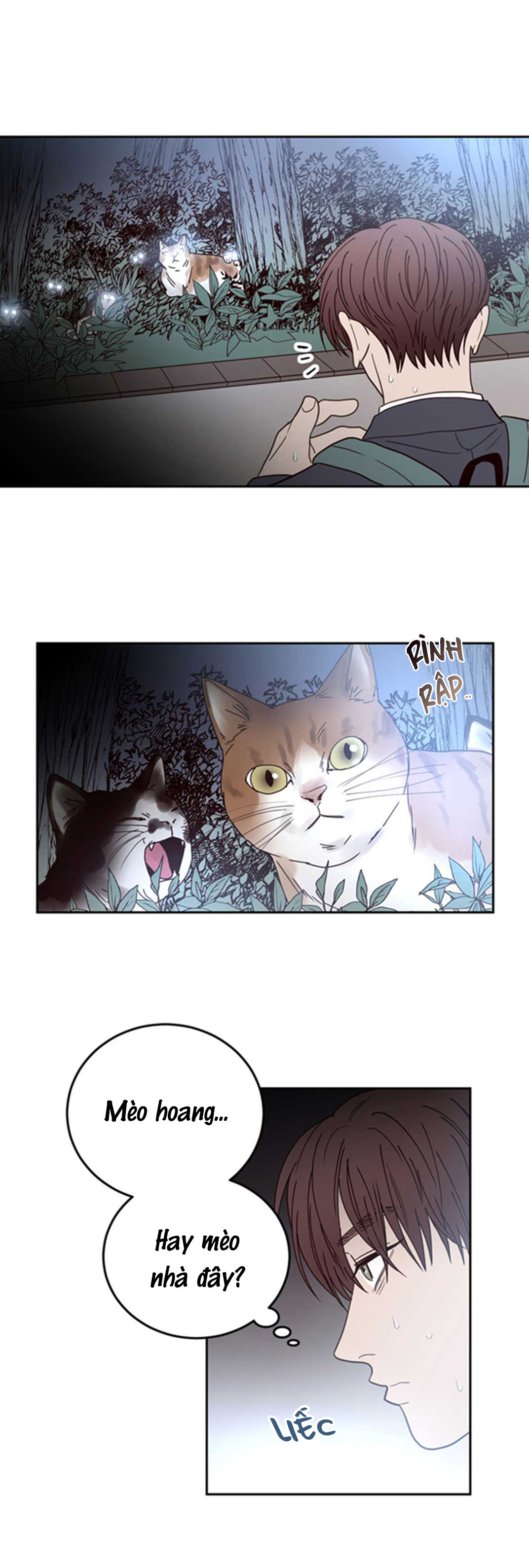 Đường Giao Nhau - Chap 28