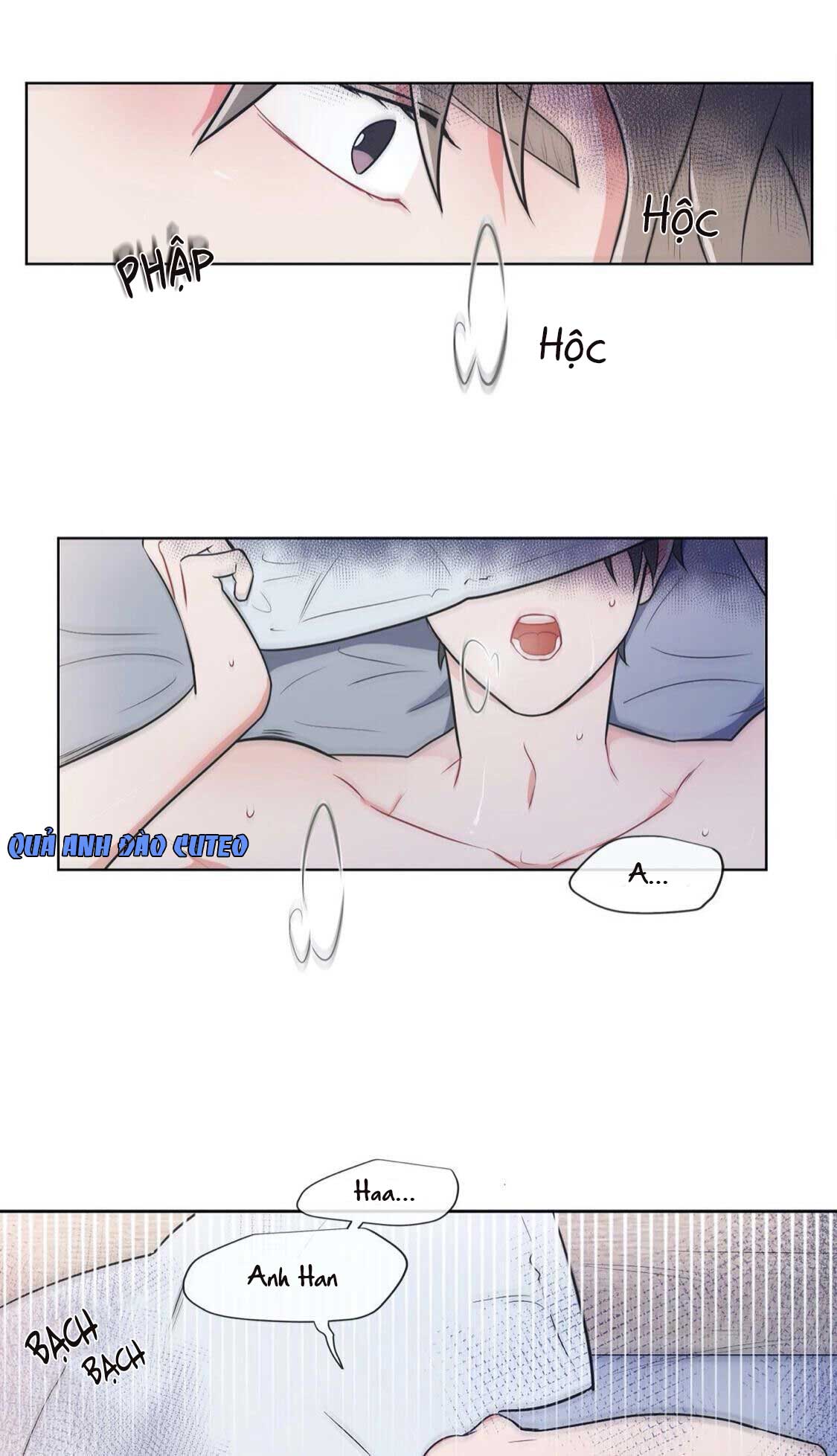 Huấn Luyện Viên Tôi Ghét Cậu - Chap 23