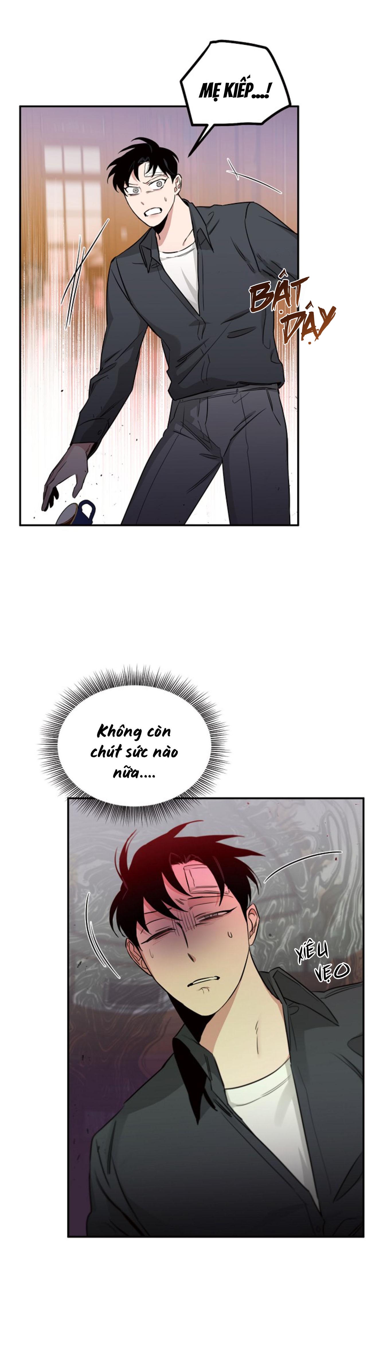 Hoa Hồng Và Rượu Vang - Chap 15