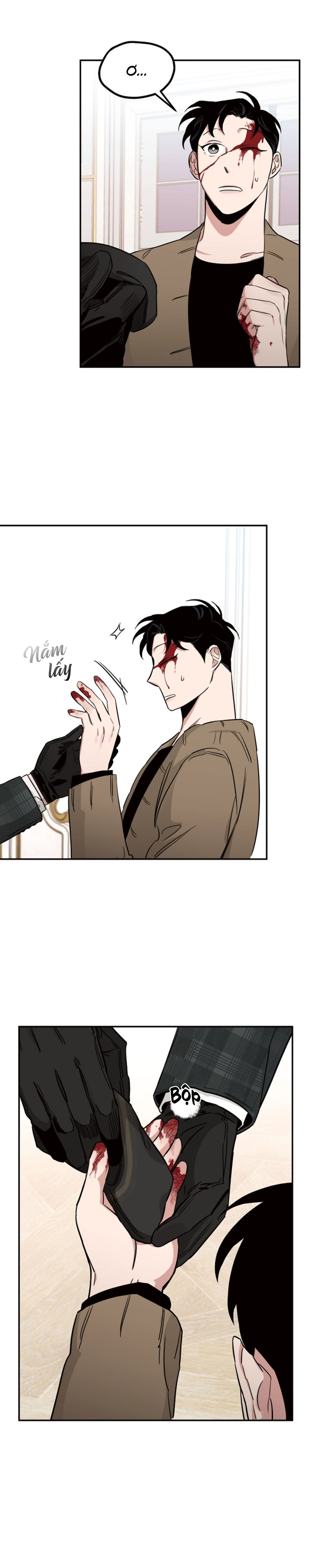 Hoa Hồng Và Rượu Vang - Chap 15