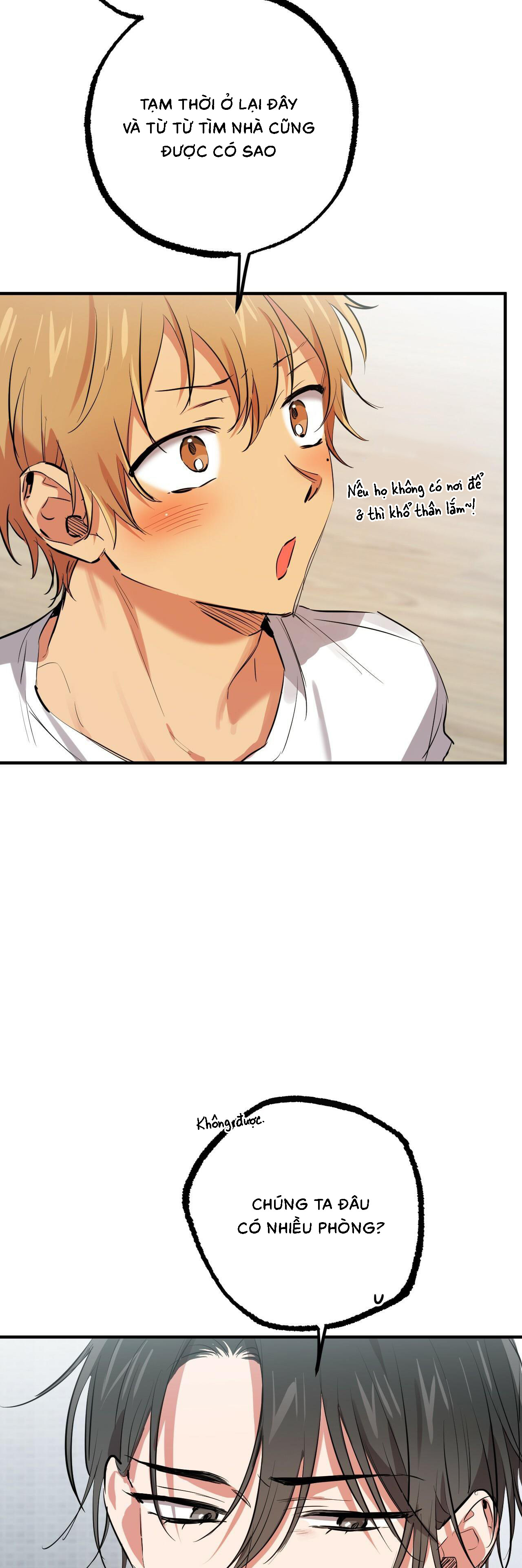 Những Chú Thỏ Của Habibi - Chap 51