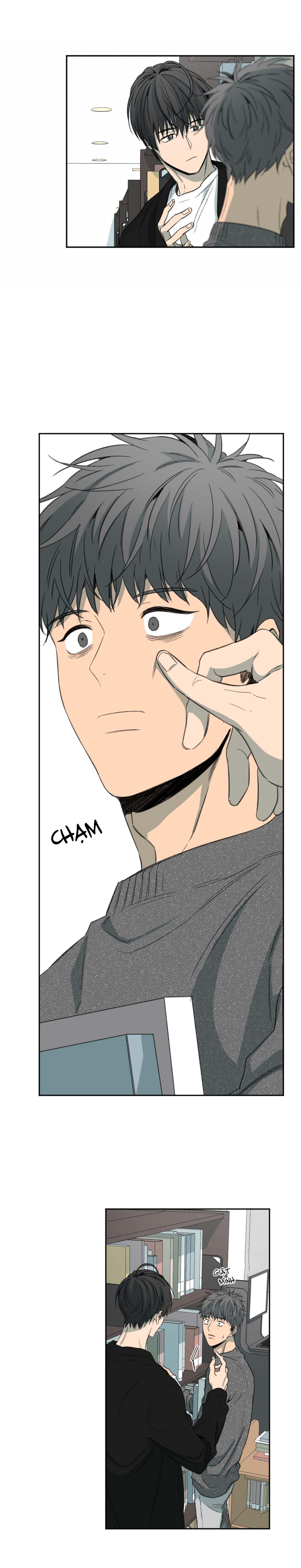 Hình Thức Cảm Thông - Chap 52