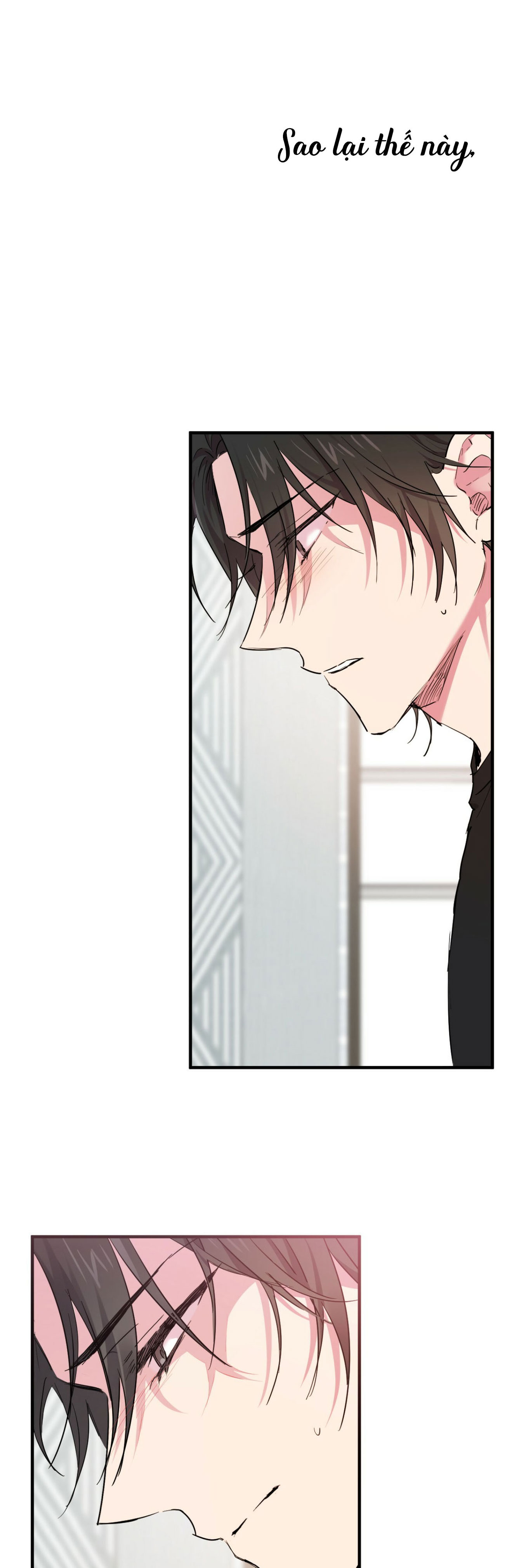 Những Chú Thỏ Của Habibi - Chap 13