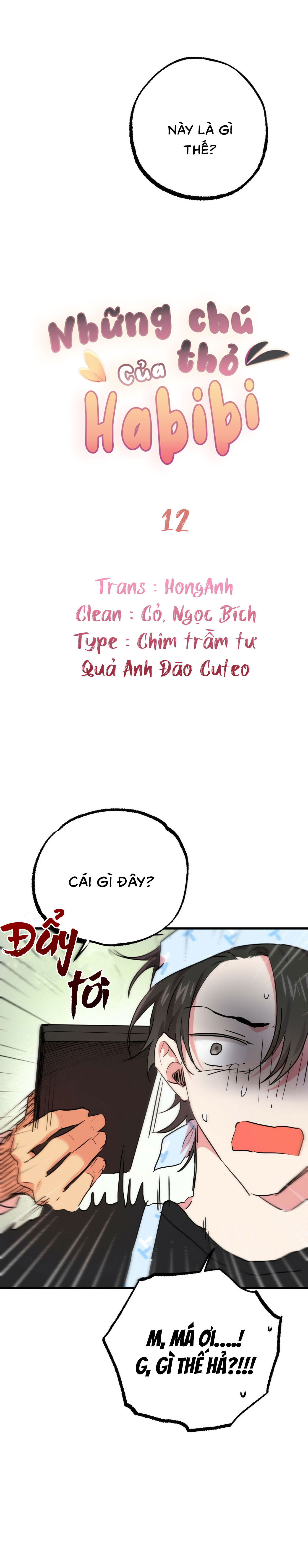 Những Chú Thỏ Của Habibi - Chap 12