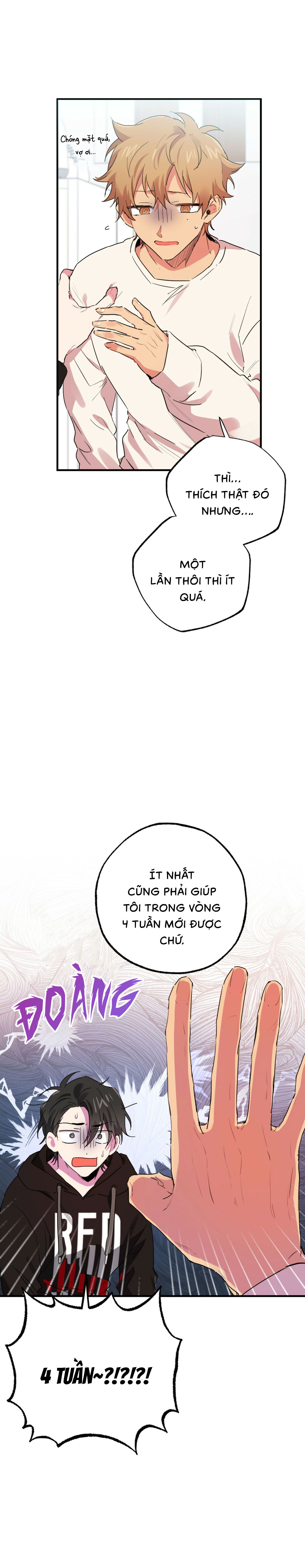 Những Chú Thỏ Của Habibi - Chap 10