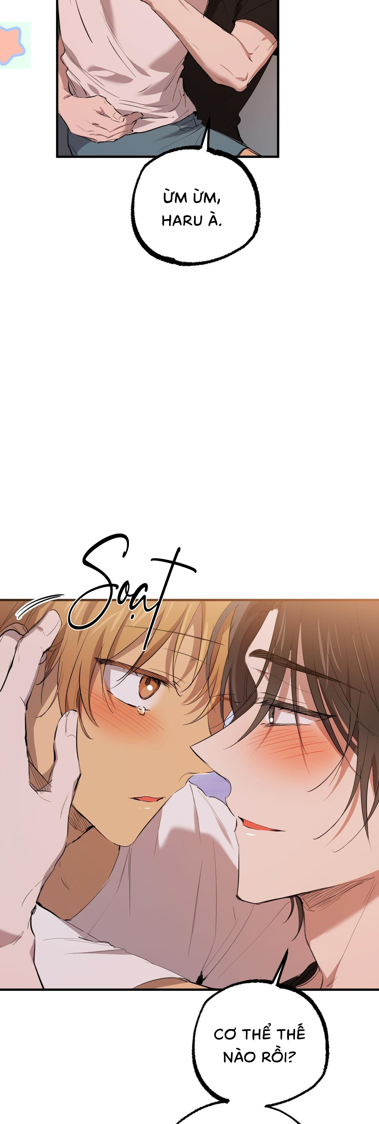 Những Chú Thỏ Của Habibi - Chap 51