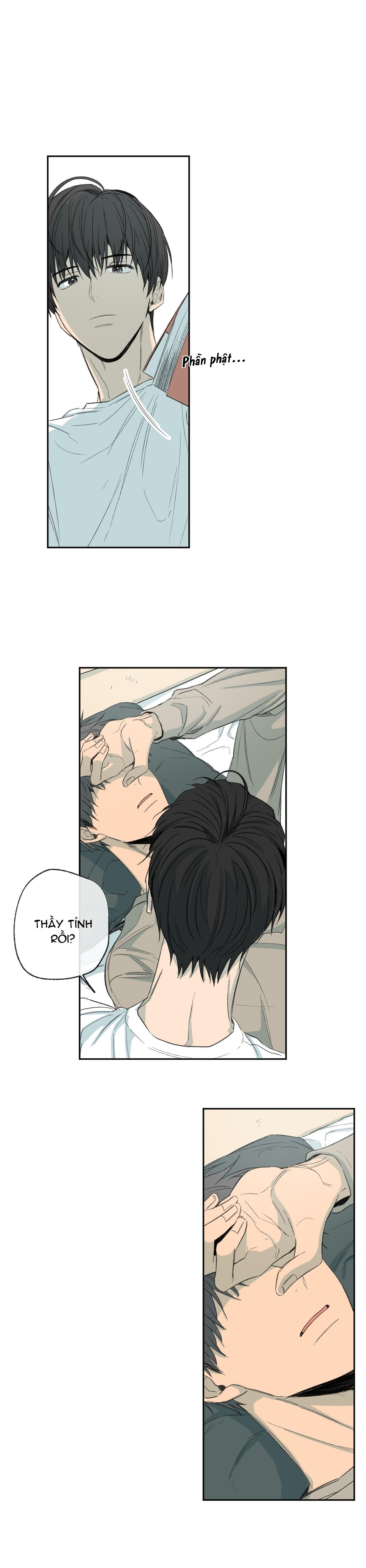 Hình Thức Cảm Thông - Chap 38