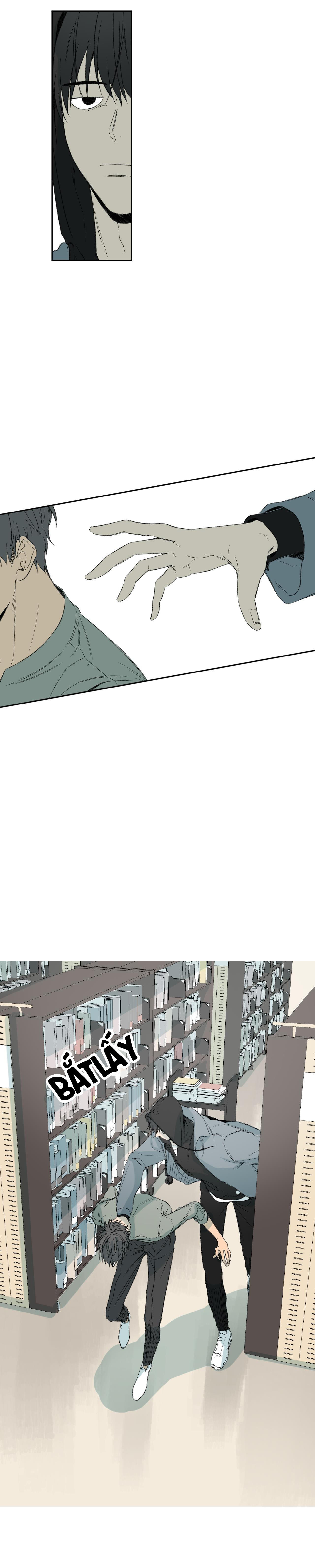 Hình Thức Cảm Thông - Chap 32