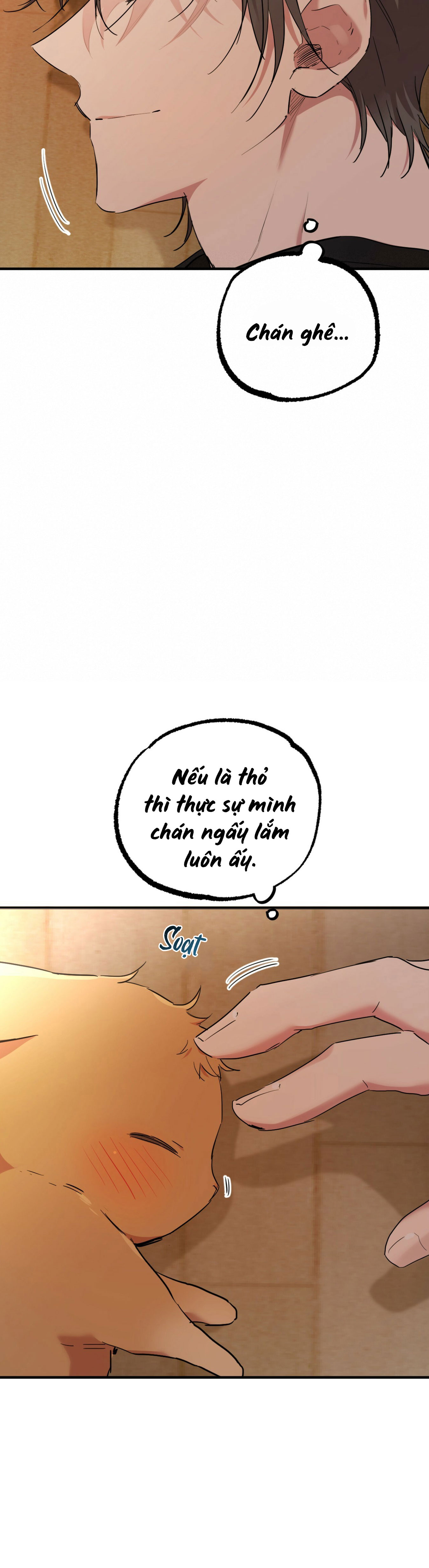 Những Chú Thỏ Của Habibi - Chap 13