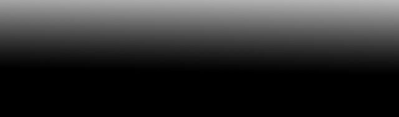 Husky Và Sư Tôn Mèo Trắng Của Hắn - Chap 4