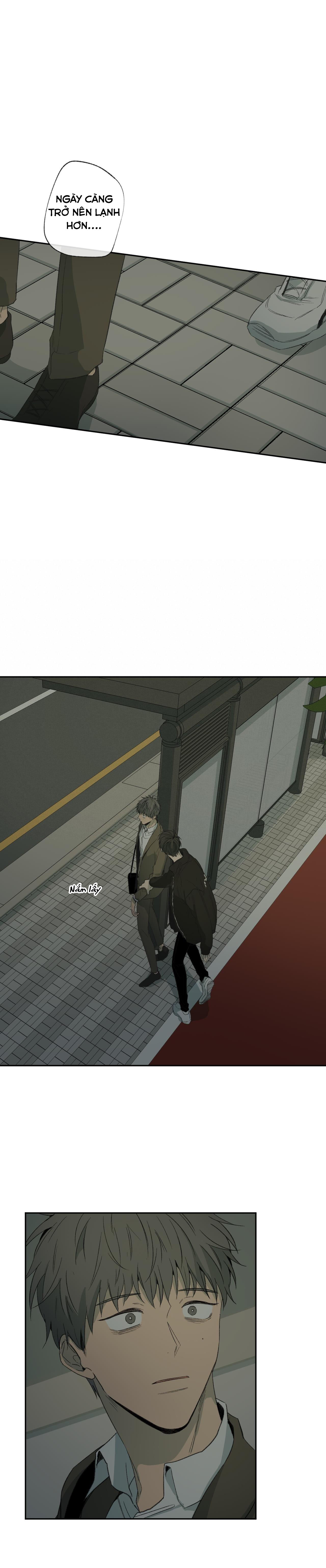 Hình Thức Cảm Thông - Chap 36