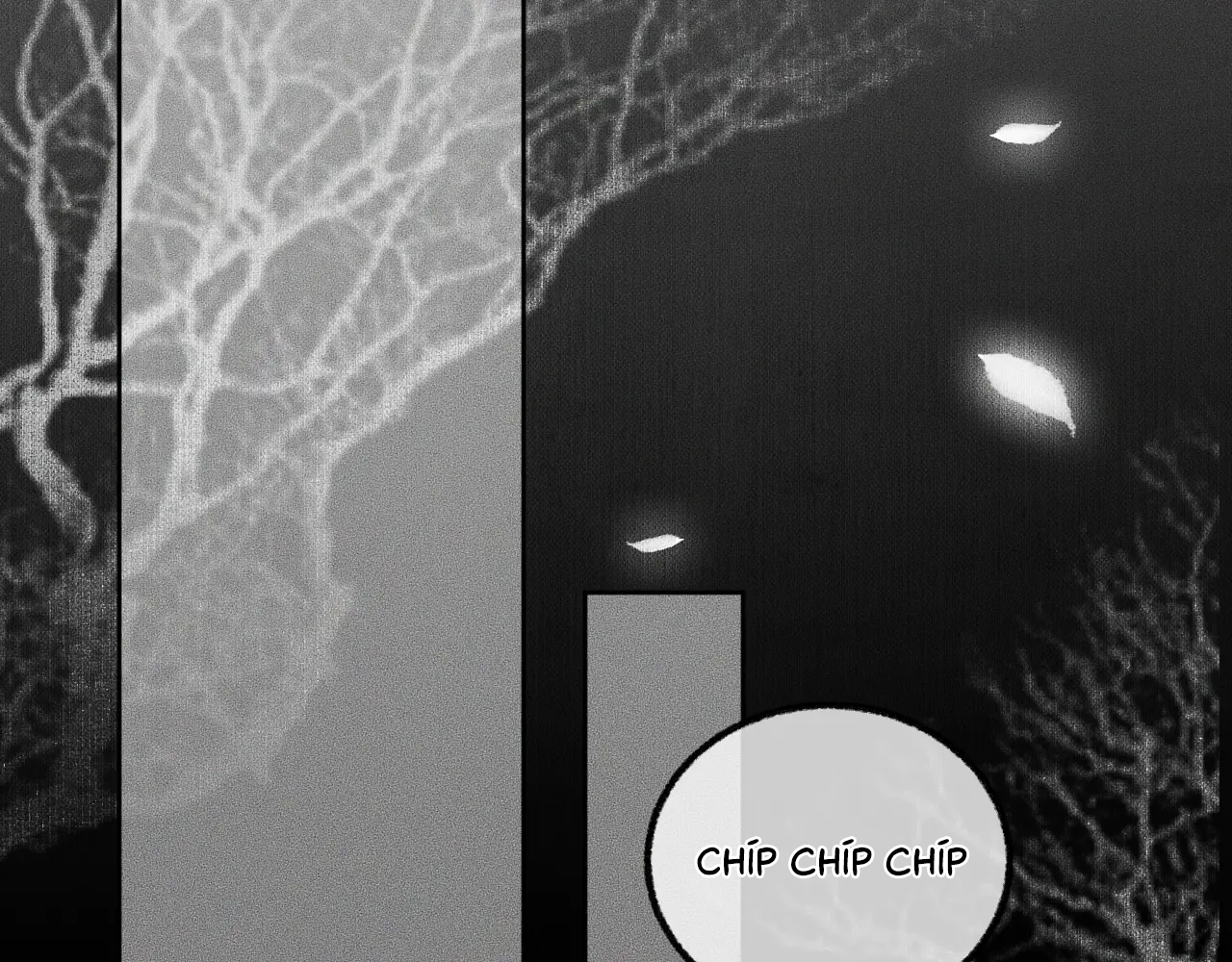 Husky Và Sư Tôn Mèo Trắng Của Hắn - Chap 5