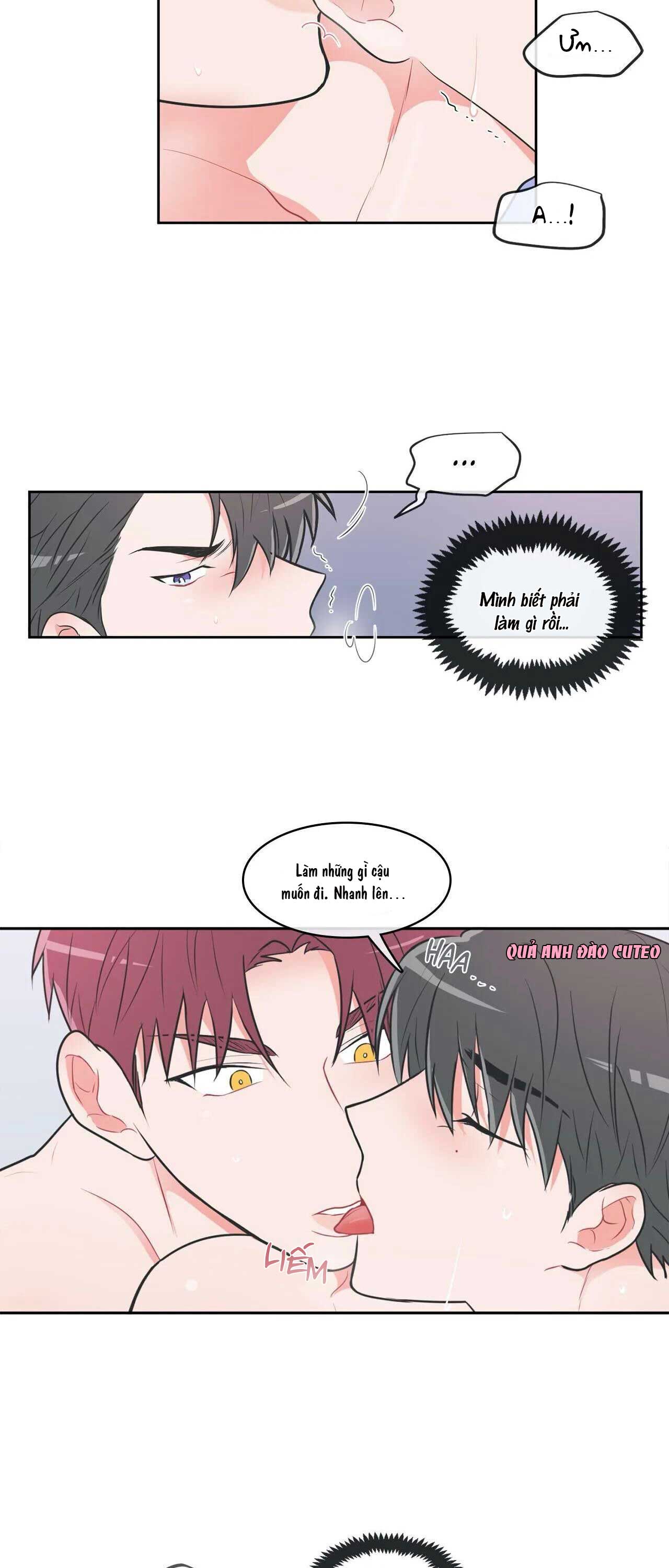 Huấn Luyện Viên Tôi Ghét Cậu - Chap 16