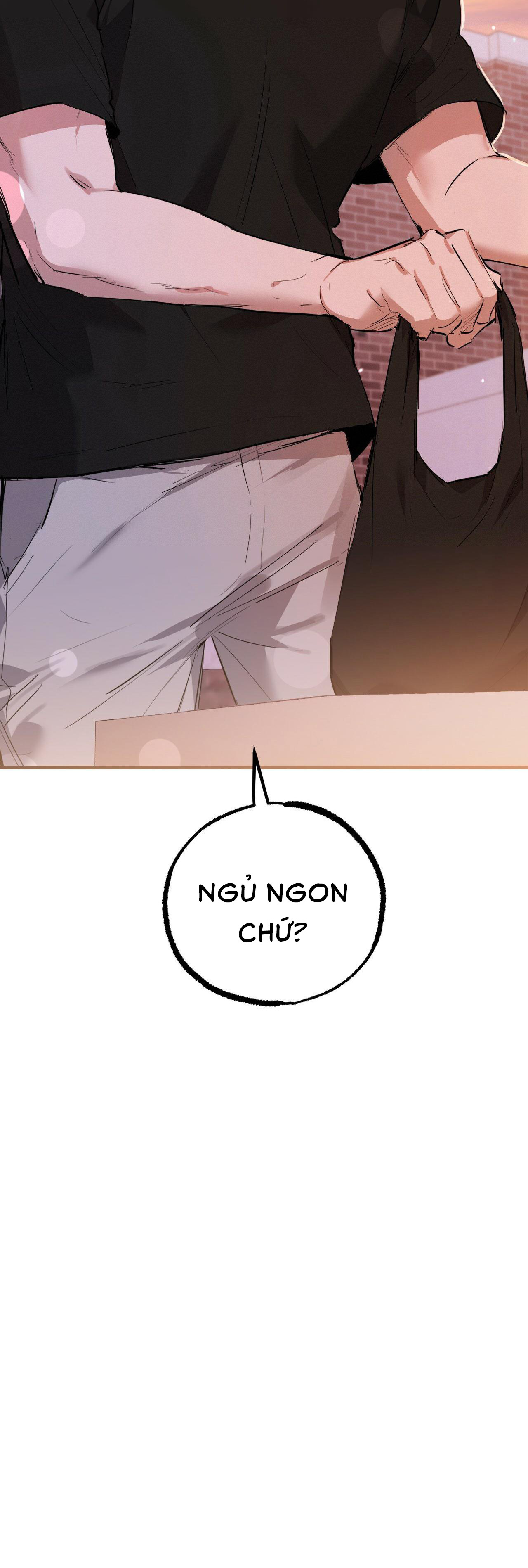 Những Chú Thỏ Của Habibi - Chap 51