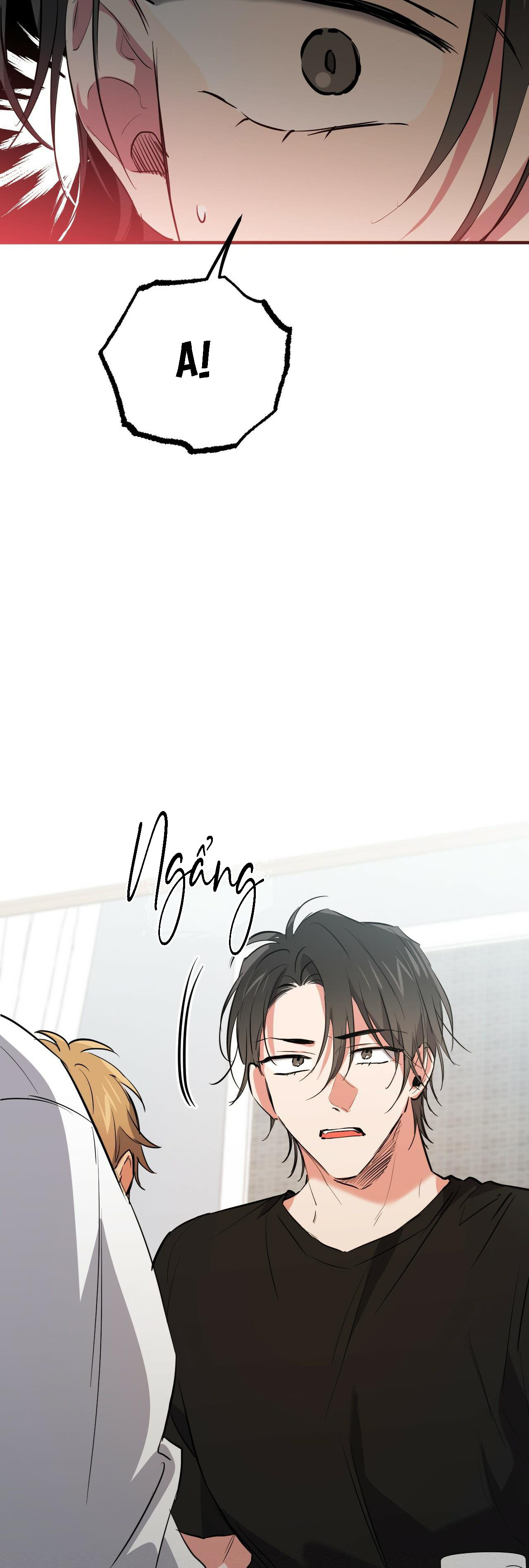 Những Chú Thỏ Của Habibi - Chap 51