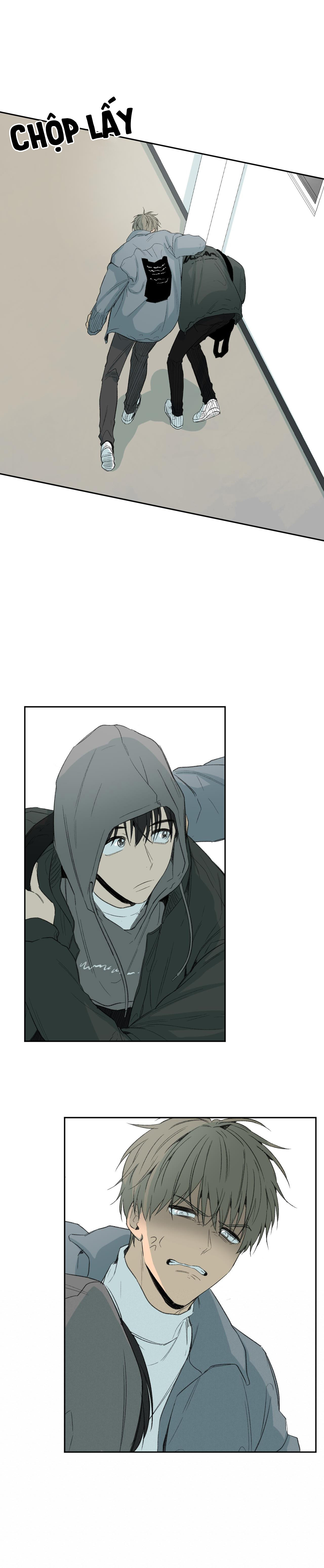 Hình Thức Cảm Thông - Chap 31