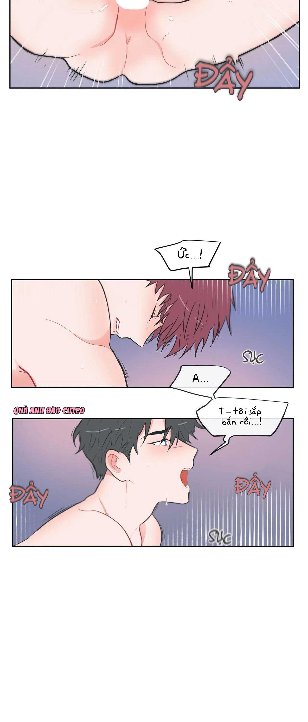 Huấn Luyện Viên Tôi Ghét Cậu - Chap 16