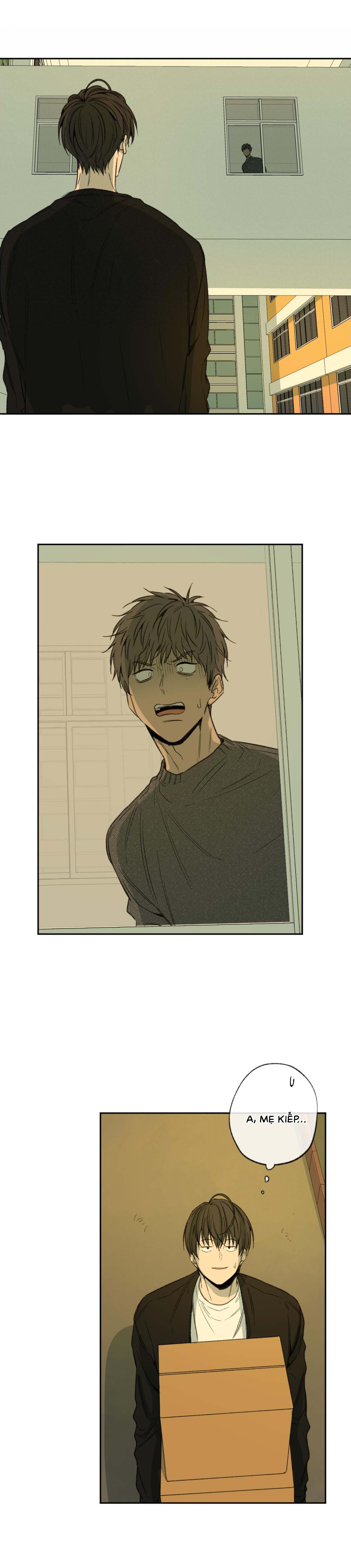 Hình Thức Cảm Thông - Chap 52