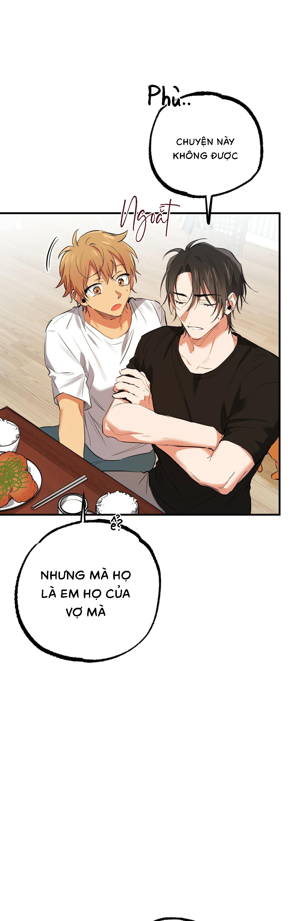 Những Chú Thỏ Của Habibi - Chap 51