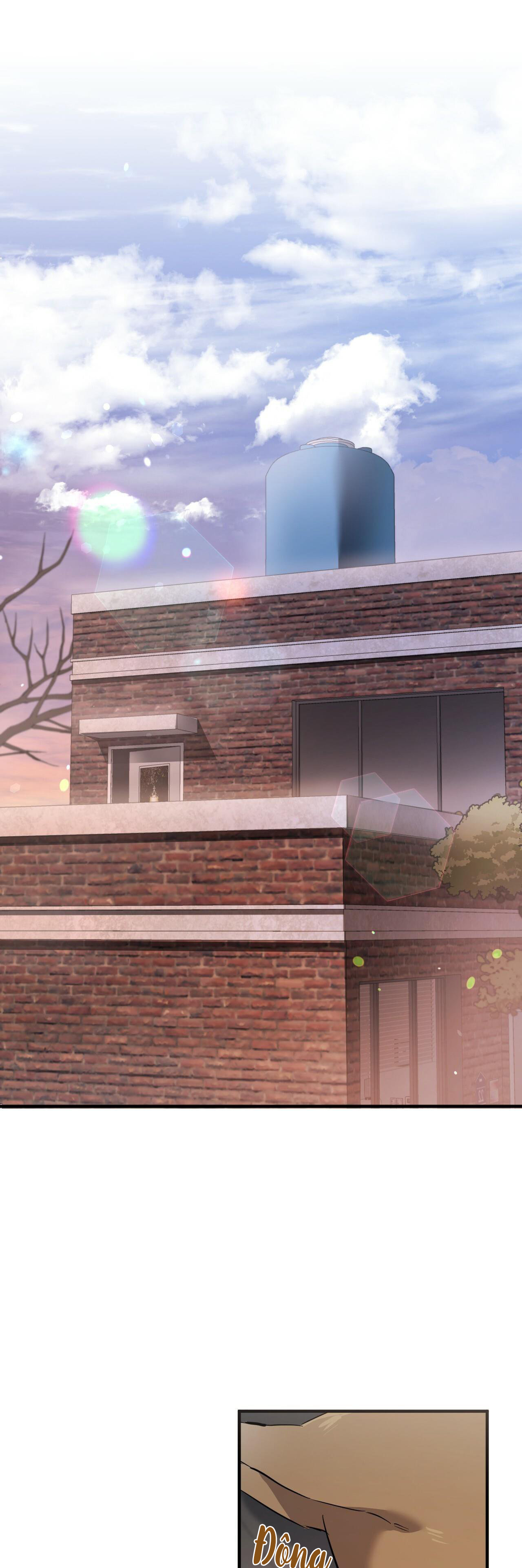 Những Chú Thỏ Của Habibi - Chap 51