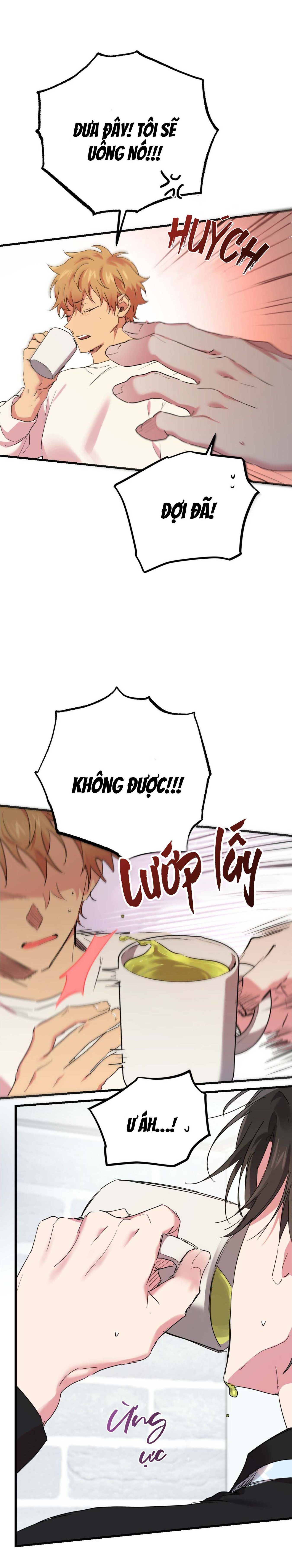 Những Chú Thỏ Của Habibi - Chap 12