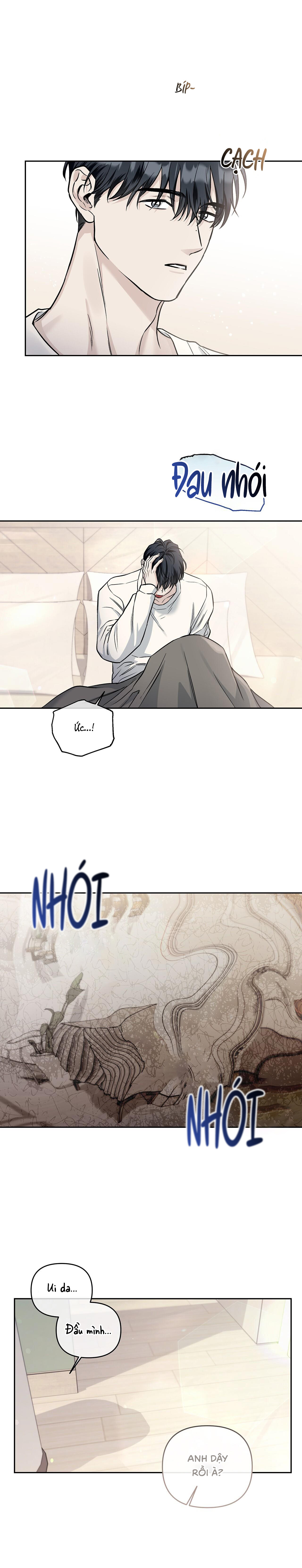 Hạ Cánh Nơi Miền Đất Xanh - Chap 8 (End)