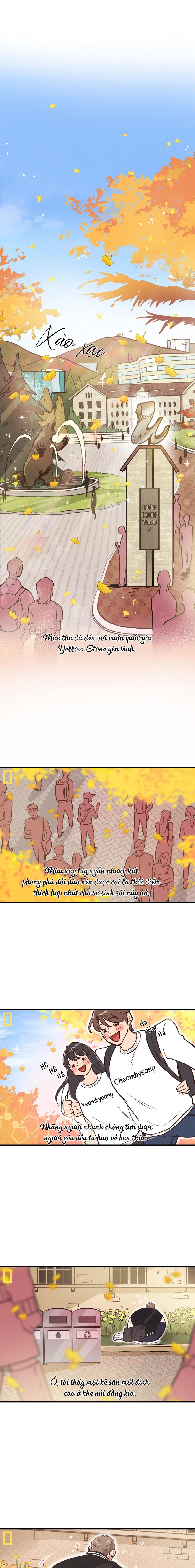 Honey Bear - Chap 31 (SS2)