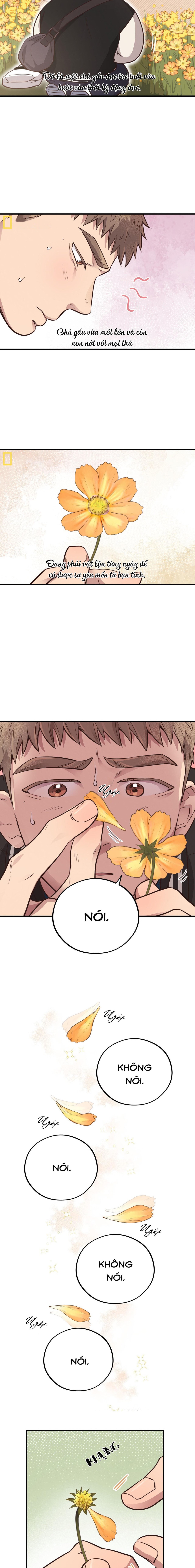 Honey Bear - Chap 31 (SS2)